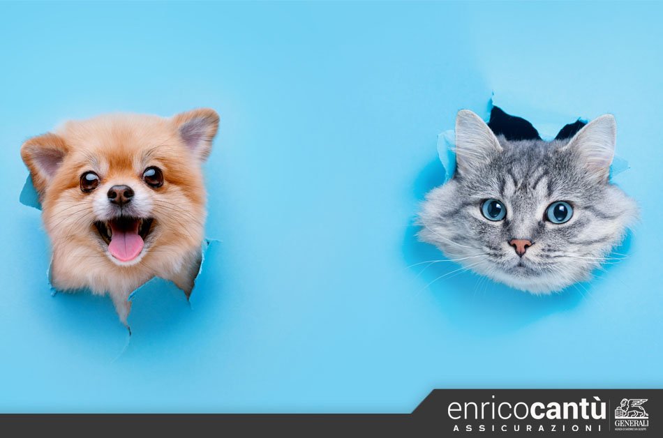 Boom di assicurazioni per cani e gatti