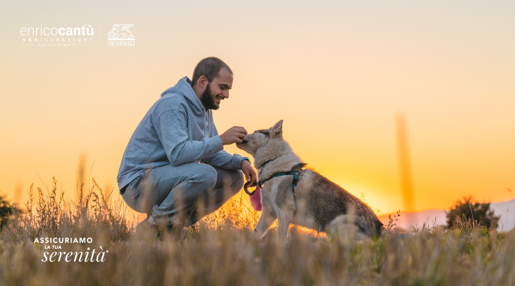 Perché assicurare un animale domestico è una scelta consapevole